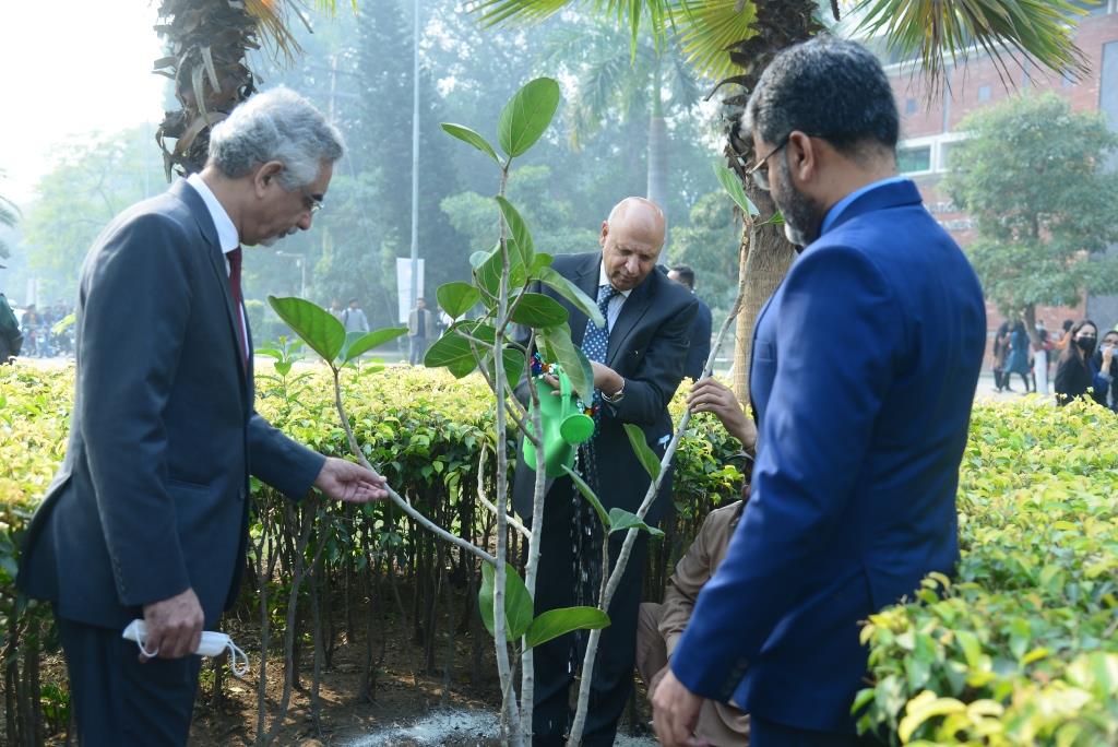 Plantation of Banyan Tree on 100th Anniversary of UET Lahore